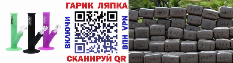 Купить  Андреаполь  ГАШ Изолятор 