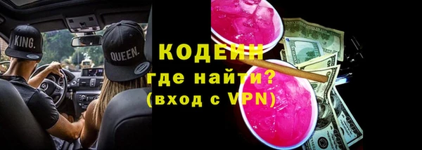 молекула духа Медвежьегорск