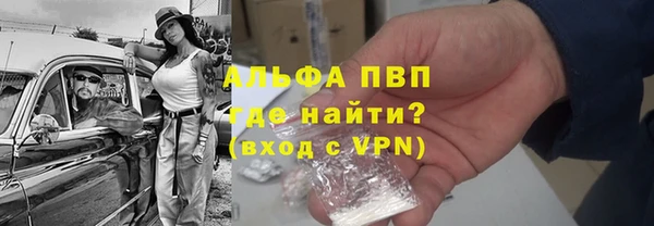 PSILOCYBIN Михайлов