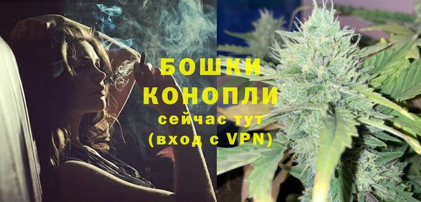 PSILOCYBIN Михайлов
