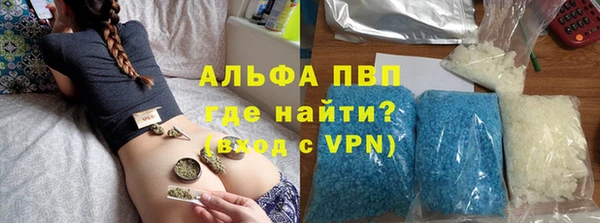 PSILOCYBIN Михайлов
