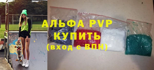 PSILOCYBIN Михайлов