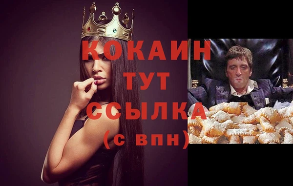 молекула духа Медвежьегорск