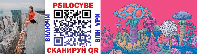 Галлюциногенные грибы Magic Shrooms  Купить закладки  Андреаполь 